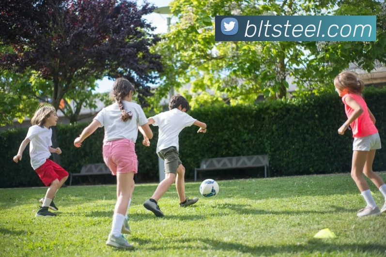 开云手机在线登陆入口全站App